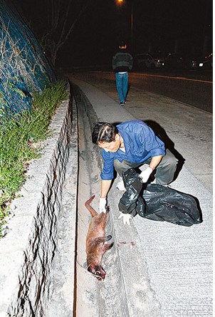 �����굹��ˮ���۾�Աָ�����⳵ײ��Ѫ����