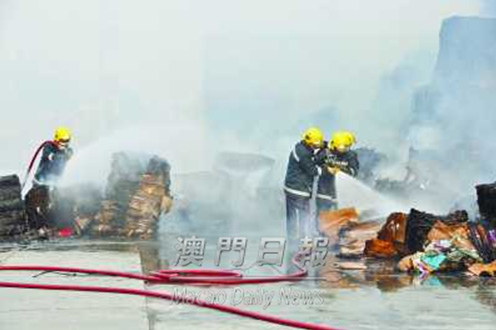 ���žŰĻ�����ͷ��������������ֽƤ���ջ�