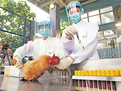 �۸��ƹ��ۻ����ջ��ѡַ���ڶ�������������