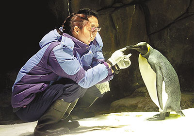 ��ۺ���԰�������ڵ�21ֻ��챦��