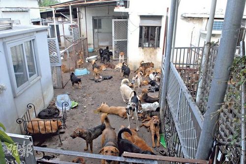 Ů��������������������ι����ͬ����ʳ��ͼ��