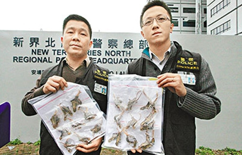 ������̲ٿء���ҩ��������۸��ƭ���棨ͼ��