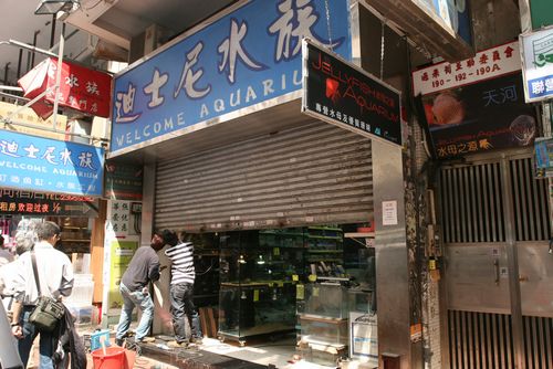 �������ˮ��ݱ��Լ�ֵ55��۱ҳ���걻����