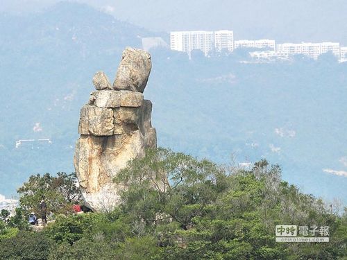 点图查看下一页