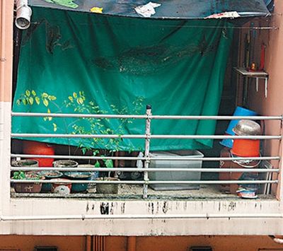 ���������������ˮ�䡰��¥����������������ͼ��