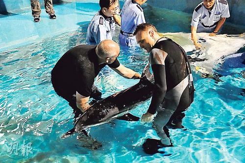 ��۷�����������ԭ��������ǳ�ո治�Σ�ͼ��