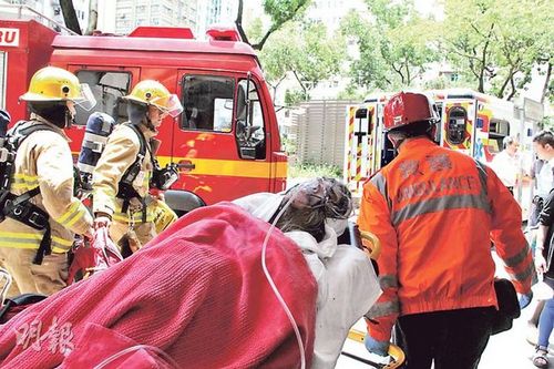 ��Ѯĸ���������40����Ӳ���������ʬ����