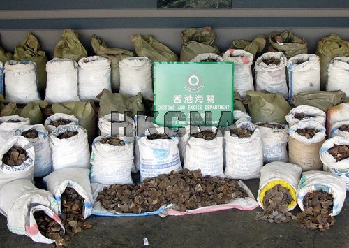 ͼ����ۺ����ƻ����������ɽ����Ƭ��˽��