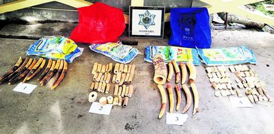 Ѳ�߿�ͧ׷�ذ��ź��ؼ��40��������˽����