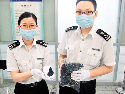 港女子手提袋装蟒蛇胆谎称水果干 深圳闯关被截