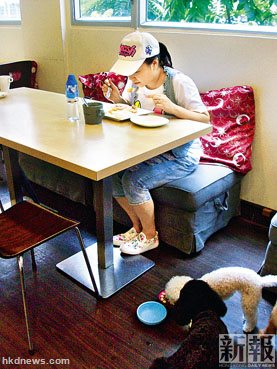 香港宠物餐厅人畜共餐专家称或交叉感染(图)
