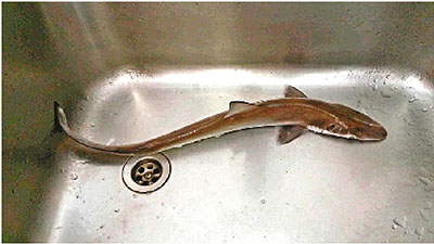 ��Ѿ��Ӿ��׽��С��������������ģ�������