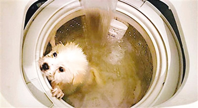 ���������ϴ�»�ϴ��Ű����Ϊ��ȫ������ŭ��