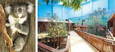 港媒:香港海洋公园今年动物死亡数量激增6成(图)