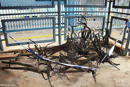 С����ð����̴ľ���������ͼ�����ڵر���