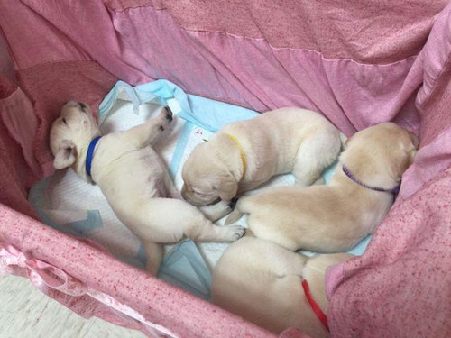 ��۱�����̥��äȮ�����ȴ�����������ͼ��