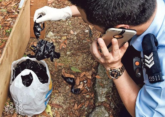 ��۰�ܰ�Ů���������߻ᱨƽ��