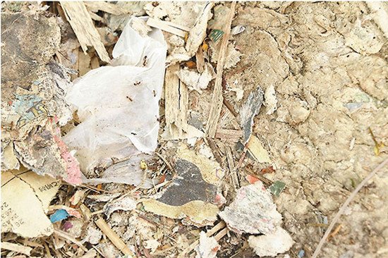 ��۽����ĺ�����س������������������ǧ��ͼ��