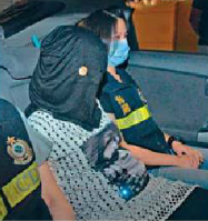 ��������֦���вر���Ů�ӻ���ͨ�ر�����ͼ��