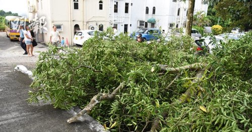 ������֡�ն������10�׸߳��������ϣ�ͼ��