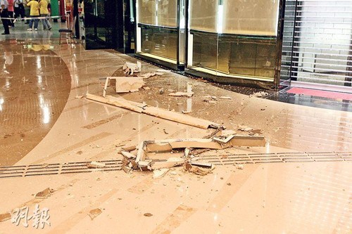 ���һ�̳����컨ͻȻ������ĸ�ӱ��������ˣ�ͼ��