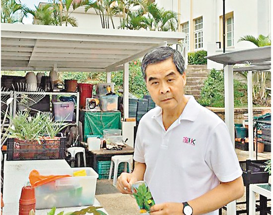 梁振英开Facebook网民争加好友官员社交网成绩对比