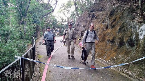 ��۷���8ö�ɶ�սʱ��ը����������������ͼ��