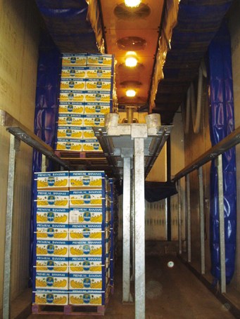 日水果公司播莫扎特乐曲催熟 香蕉"听"后味更甜