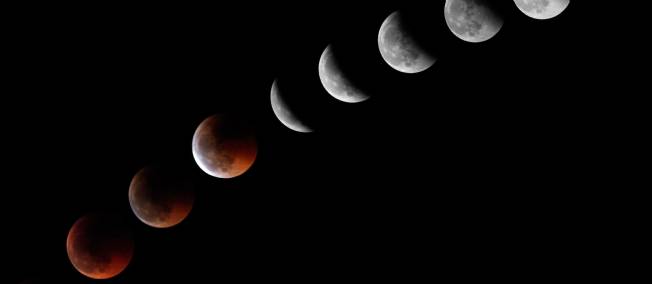 ŷ���ǲ��ֵ���15�չ۲⵽11�������ȫʳ