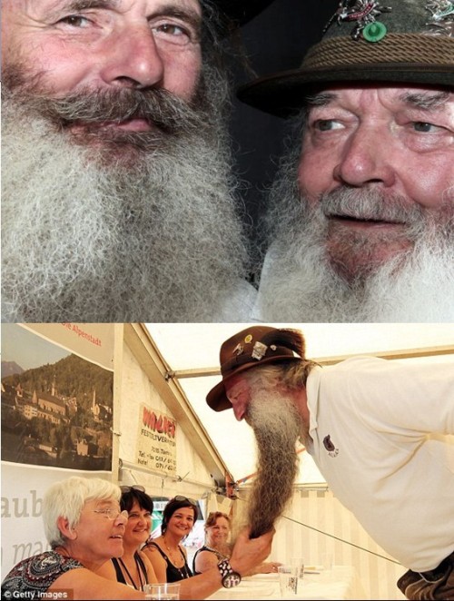 ��ʿ�ٰ���Ⱥ�����������������׹���ƴ��ͼ��