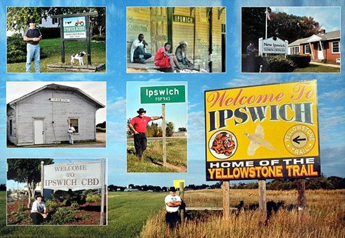 Ӣ����������10����ֻΪ̤�������ͬ��֮��