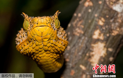 ̹ɣ��������Ʒ�ֶ�����ò���������ºͣ�ͼ��