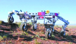 ������ֿ���6��12�ۻ����˻��߻����裨ͼ��