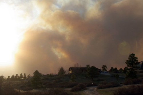 �������������ݷ���ɽ�ֻ���900��������ɢ