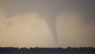 �����������������籩��������Ϯ��