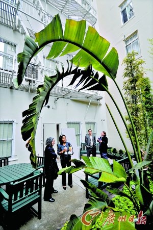 �������깫Ԣ���ܻ�ӭ������Ҫ��ʮ�������ס