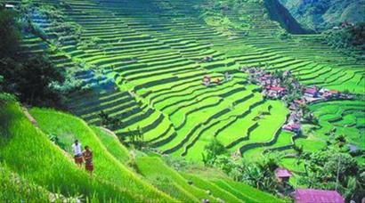 ���ɱ���ɽ���ﱻ�������Σ�Ų���¼��ȥ����ͼ��