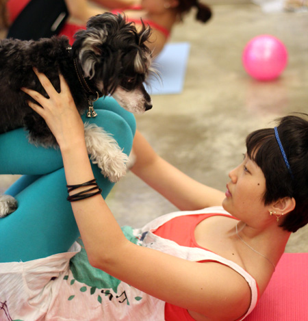 �������衰�����٤�����˰ﹷ��������Ħ��ͼ��