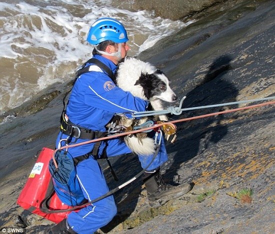 С����̰��׹���ұ����������Ӿ���δ���ˣ�ͼ��