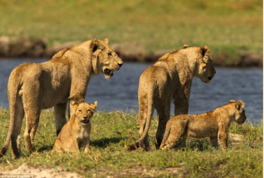 ĸʨ��������ˮ��������񶷺ݰ������죨��ͼ��