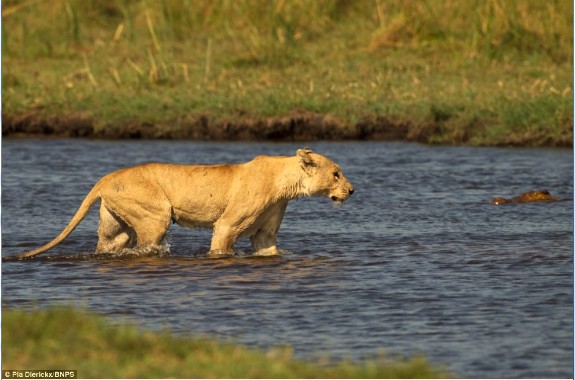 ĸʨ��������ˮ��������񶷺ݰ������죨��ͼ����2��