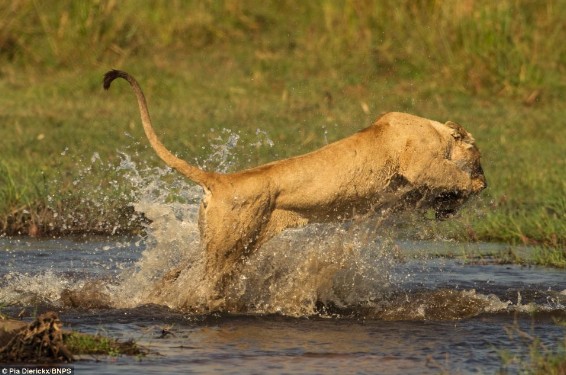 ĸʨ��������ˮ��������񶷺ݰ������죨��ͼ����5��