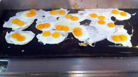 Ӣ����ʦ����19��˫�Ƶ�����С�����ڷ�֮һ