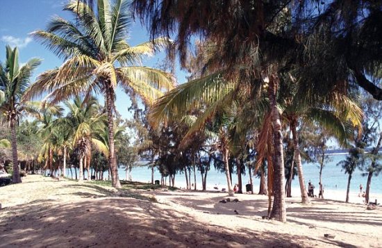 ���������¼�Ƶ�������������ʹ�������ɱ��2��