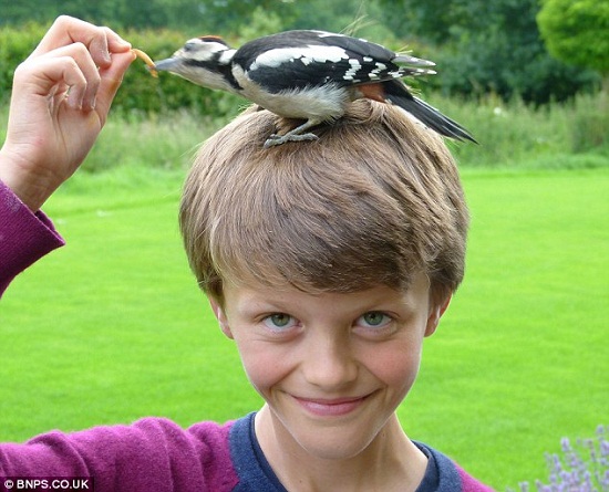 С��ľ����к������ɺ�������ͷ�ϵ�ιʳ��ͼ����2��