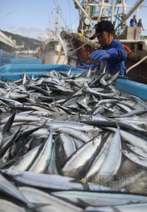 �ձ�������95�ֽ��������ﵶ�㿪ʼ������ͼ��