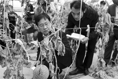 ����������ը�������ֲ���1500������ҽ����