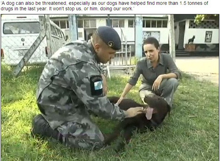 ��������Ȯ�ⶾ��������ͨ����9�����챣����ͼ��