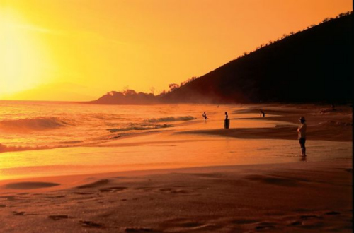 ������Ա��ѡ���������οںš�С���¡���ѡ���