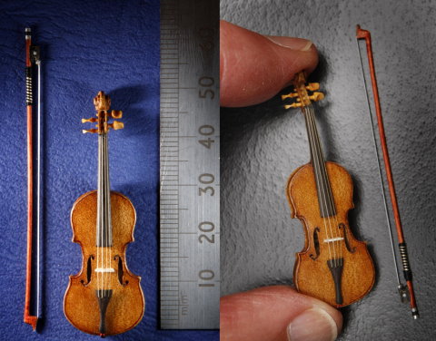 ����������С���ٳ��Ȳ���5���׹���������ͼ��